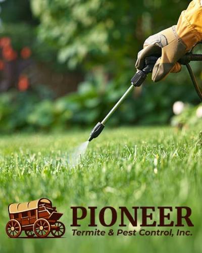 year-round-pest-control