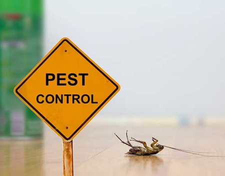 general-pest-control-san-angelo