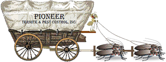 Pioneer-Termite-and-Pest-Control-footer-logo